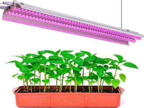 Преимущества