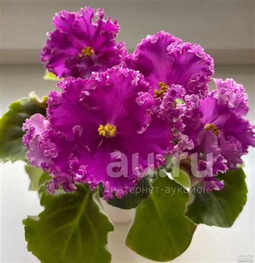 Определите