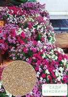 Температурный