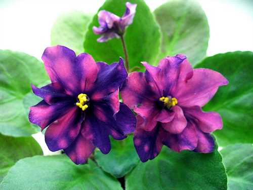 Требования