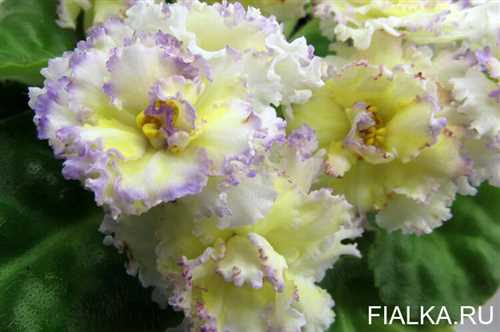 Характеристики