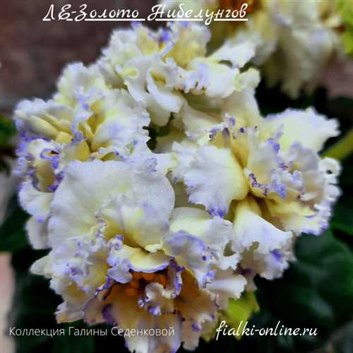 Преимущества