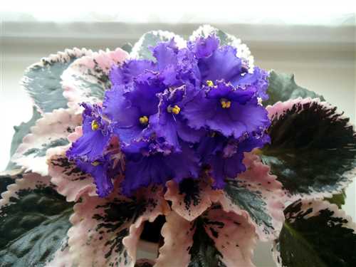 Подготовка