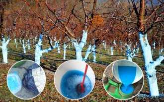 Преимущества