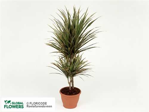 Характеристики