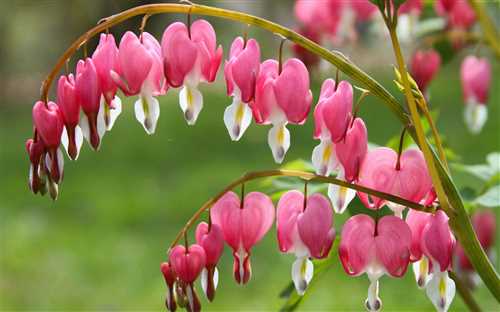 Уникальные