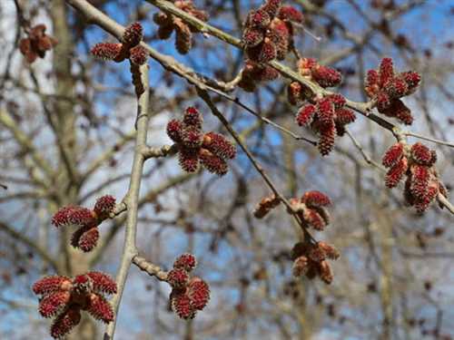 Рекомендации