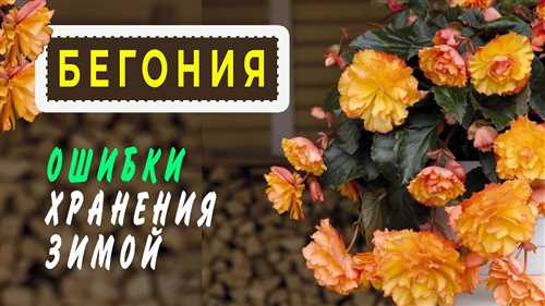 Подготовка