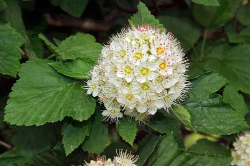 Фотографии