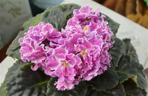 Рекомендации