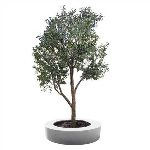 Определите