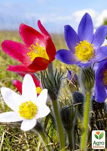 Увлажнители