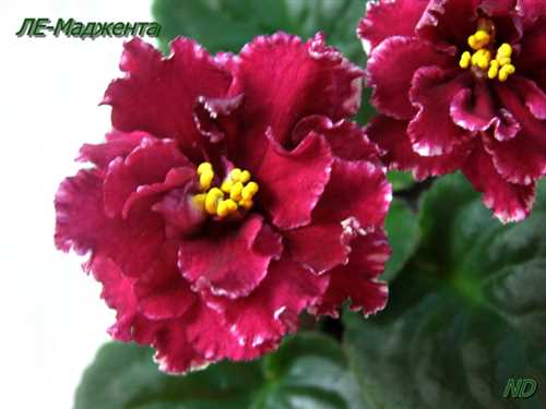 Подходящие