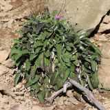 Взаимодействие