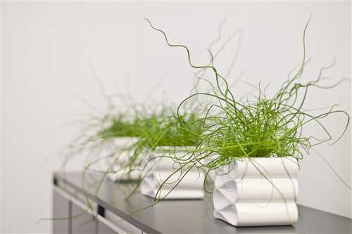 Требования