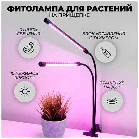 Польза фитоламп для растений и их влияние на рост и развитие